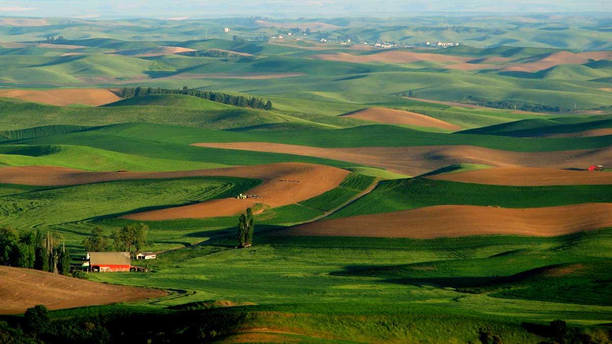 Scenic view of Palouse hills from Steptoe butte